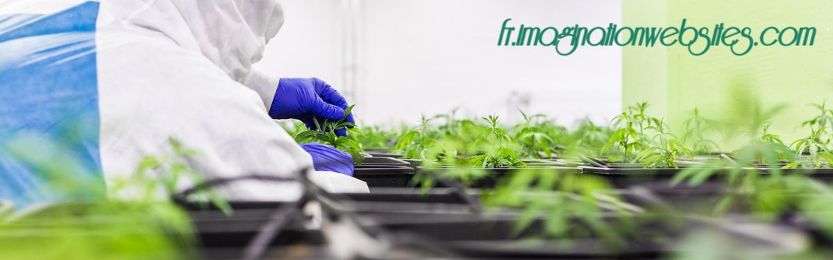 fr.imaginationwebsites.com